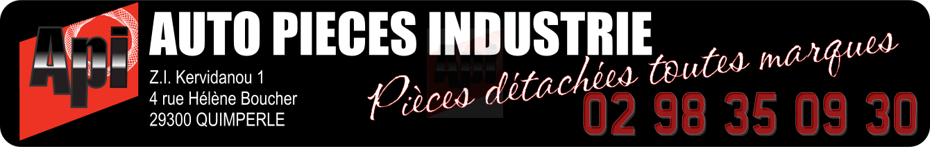 Logo AUTO PIECES INDUSTRIE