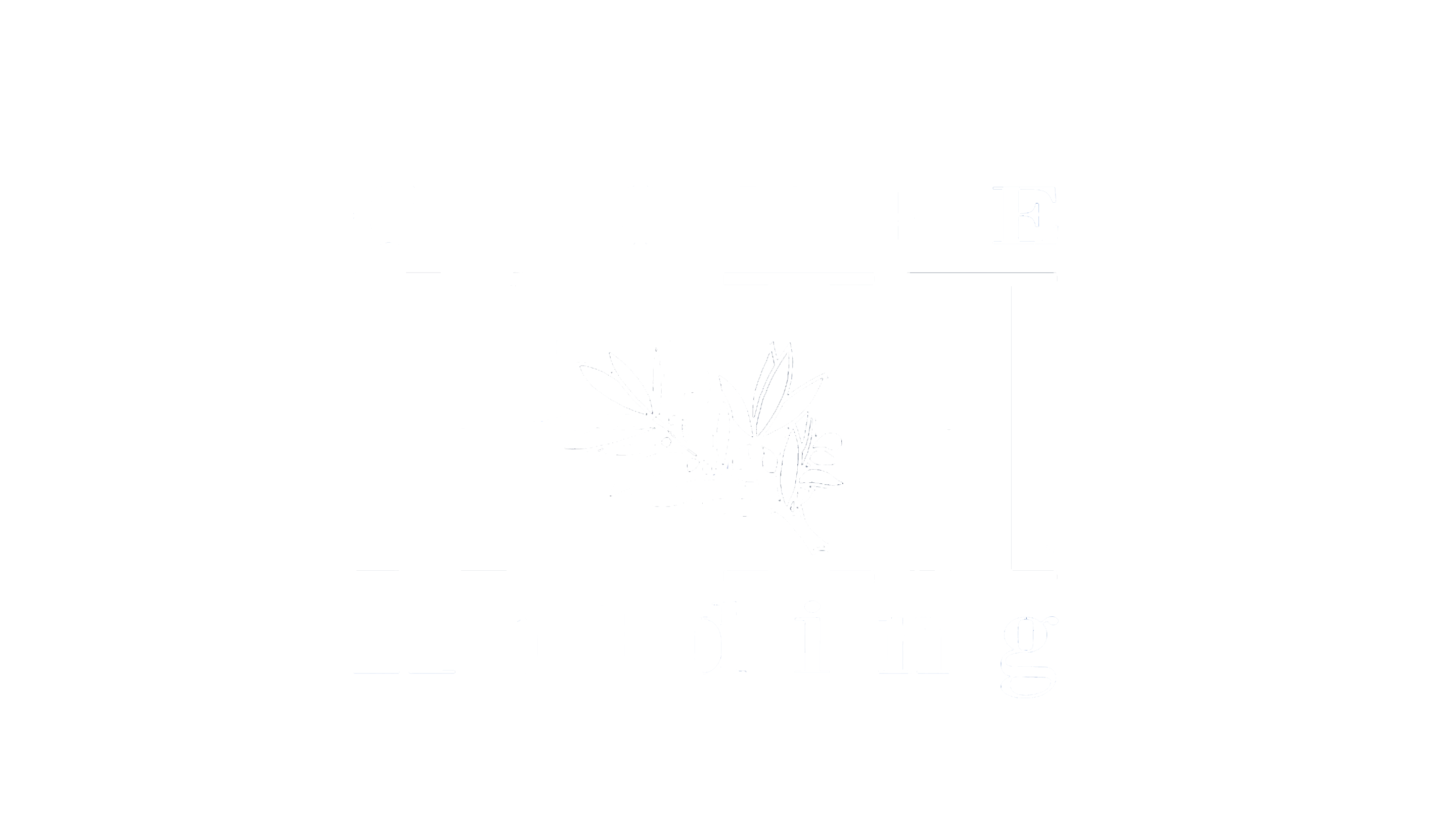 Logo BH HOLDING