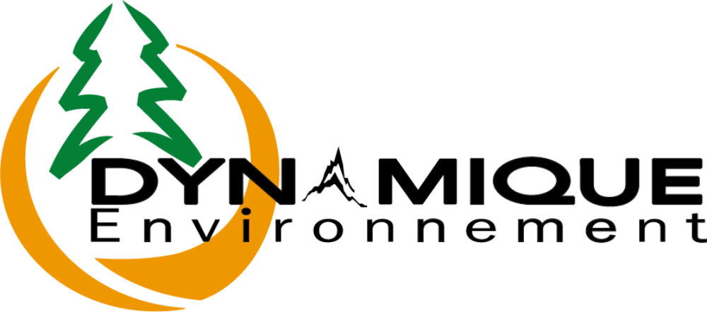 Logo DYNAMIQUE ENVIRONNEMENT