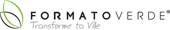 Logo FV ESPAÑA