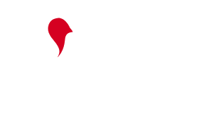 Logo BOUCHARD HOLDING