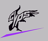 Logo GYPS TECHNIC