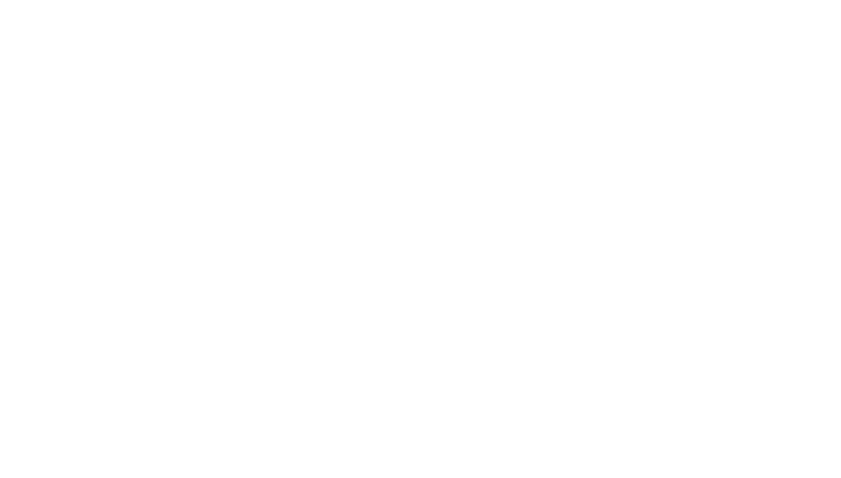 Logo HIGH LIFT NACELLES