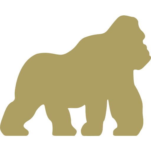 Logo Playgones