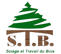 Logo STB