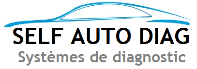 Logo SIMON PATRICK